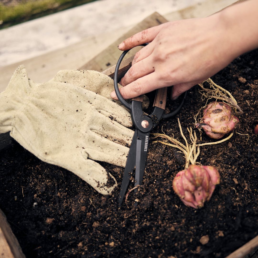 Gardening makes you happy
