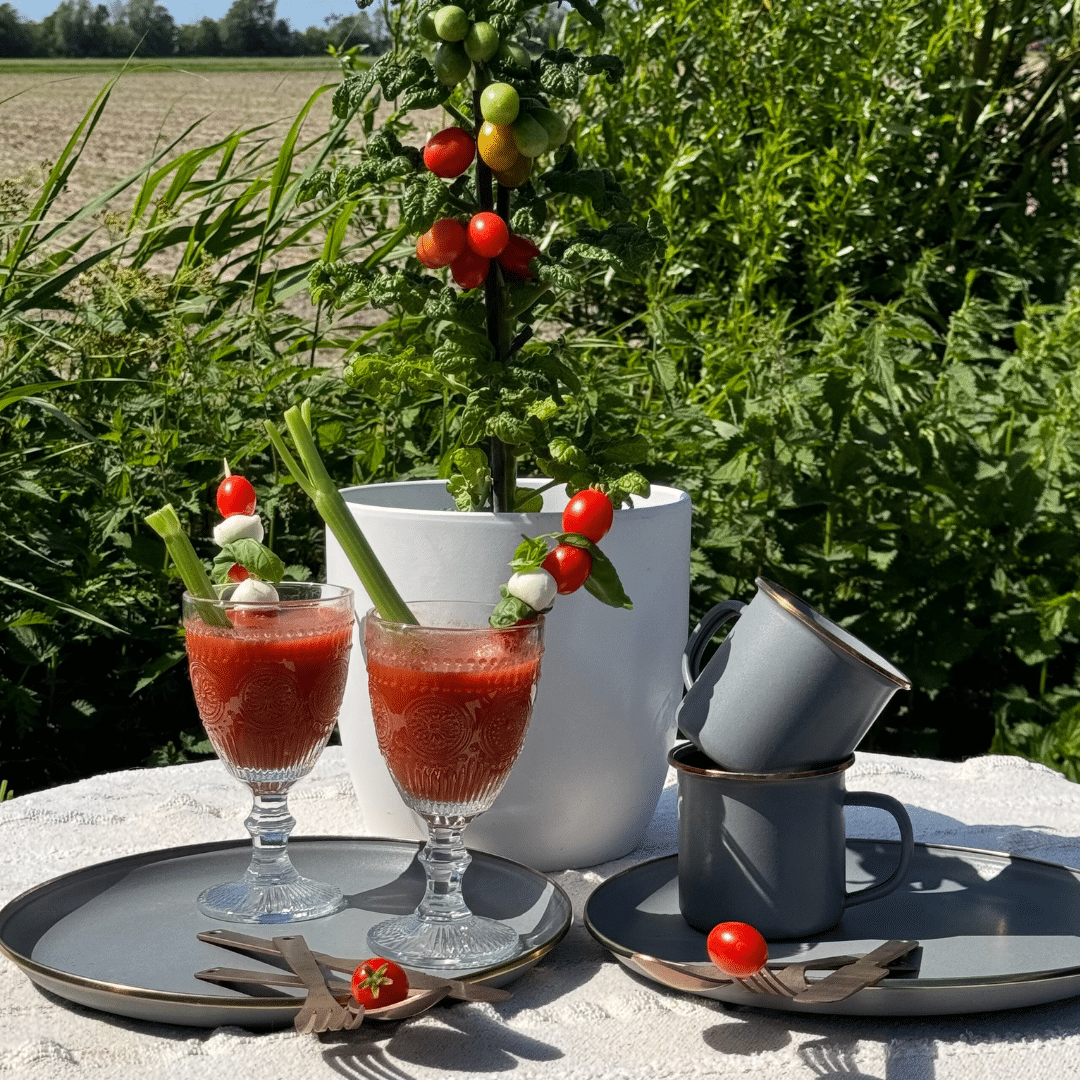 Slate grey Barebones dinnerware